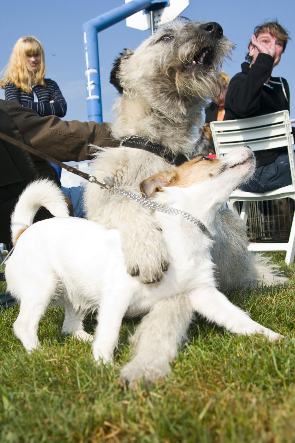 FLY_4100.JPG