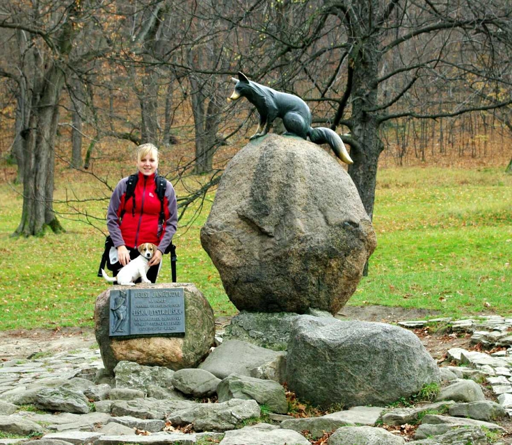 img00001.jpg